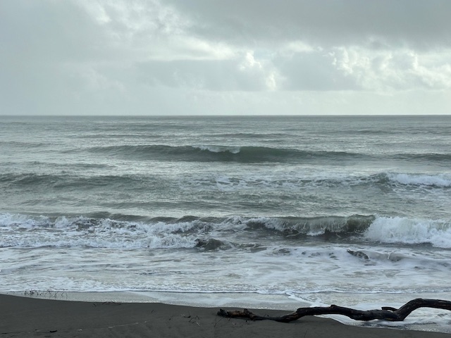 宮崎のサーフショップ&サーフィンスクール　ニューウェーブ