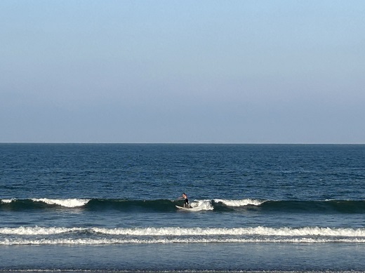 宮崎のサーフショップ&サーフィンスクール　ニューウェーブ