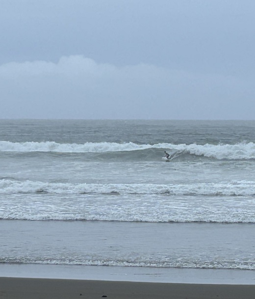 宮崎のサーフショップ&サーフィンスクール　ニューウェーブ