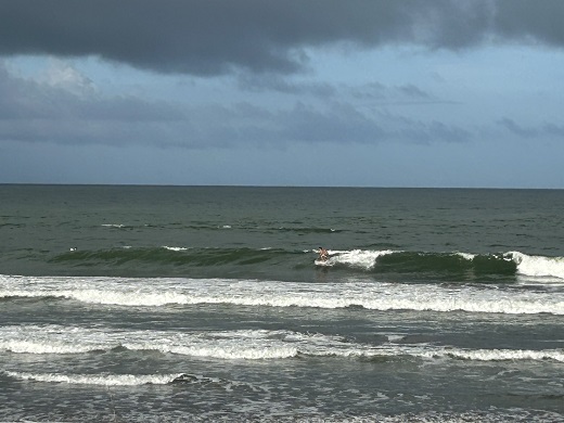 宮崎のサーフショップ&サーフィンスクール　ニューウェーブ