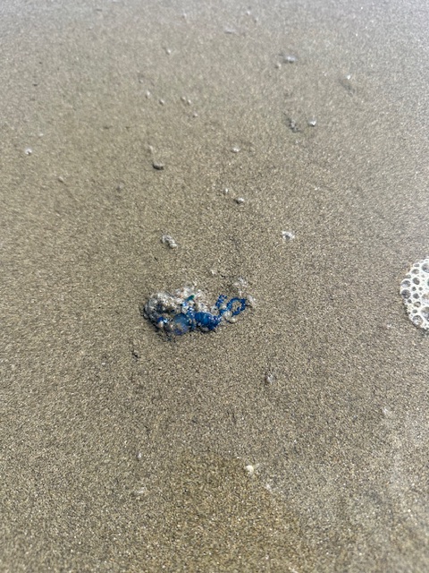 宮崎のサーフショップ&サーフィンスクール　ニューウェーブ