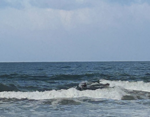 宮崎のサーフショップ&サーフィンスクール　ニューウェーブ