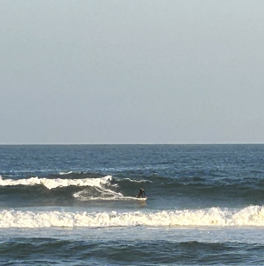 宮崎のサーフショップ&サーフィンスクール　ニューウェーブ