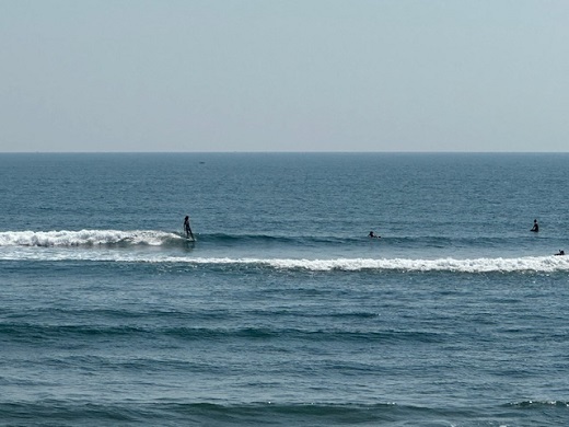 宮崎のサーフショップ&サーフィンスクール　ニューウェーブ