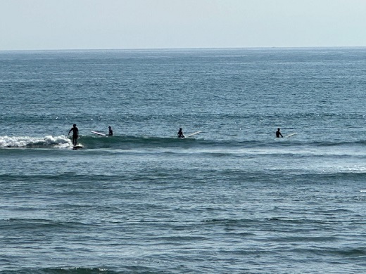 宮崎のサーフショップ&サーフィンスクール　ニューウェーブ