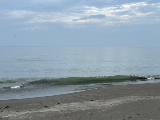 宮崎のサーフショップ&サーフィンスクール　ニューウェーブ