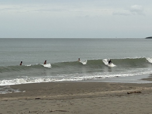宮崎のサーフショップ&サーフィンスクール　ニューウェーブ