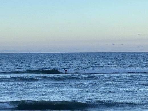 宮崎のサーフショップ&サーフィンスクール　ニューウェーブ