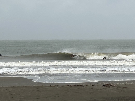 宮崎のサーフショップ&サーフィンスクール　ニューウェーブ