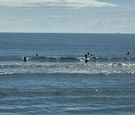 宮崎のサーフショップ&サーフィンスクール　ニューウェーブ