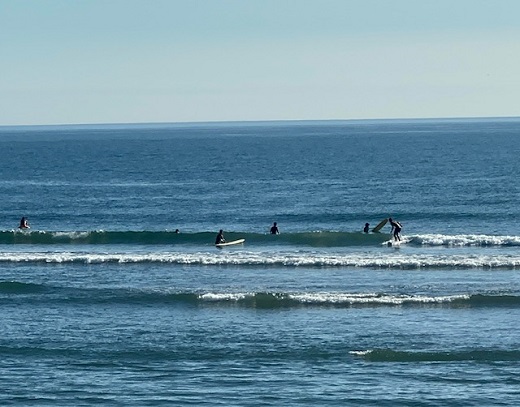 宮崎のサーフショップ&サーフィンスクール　ニューウェーブ