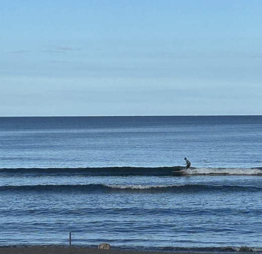 宮崎のサーフショップ&サーフィンスクール　ニューウェーブ