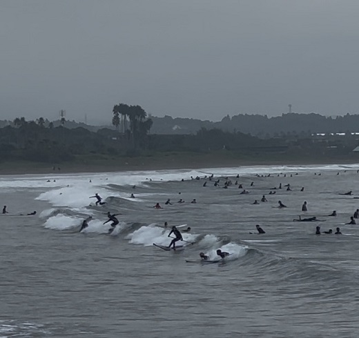 宮崎のサーフショップ&サーフィンスクール　ニューウェーブ