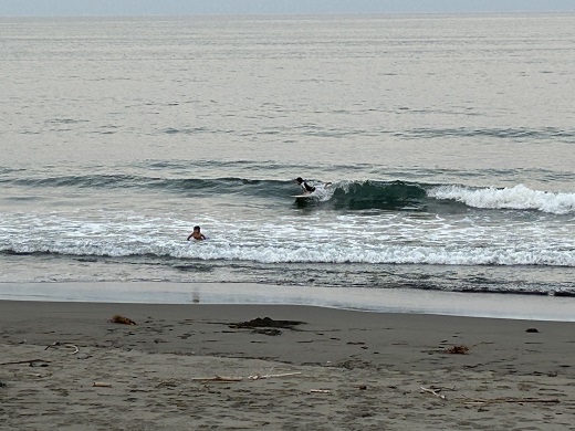 宮崎のサーフショップ&サーフィンスクール　ニューウェーブ