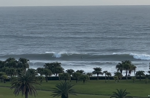 宮崎のサーフショップ&サーフィンスクール　ニューウェーブ