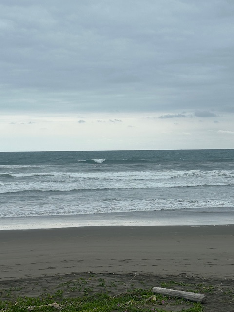 宮崎のサーフショップ&サーフィンスクール　ニューウェーブ