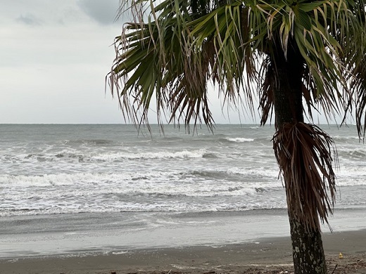 宮崎のサーフショップ&サーフィンスクール　ニューウェーブ