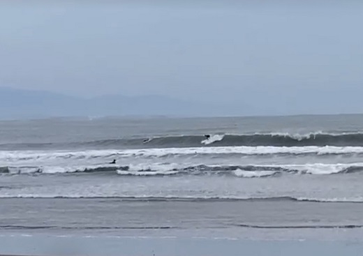 宮崎のサーフショップ&サーフィンスクール　ニューウェーブ