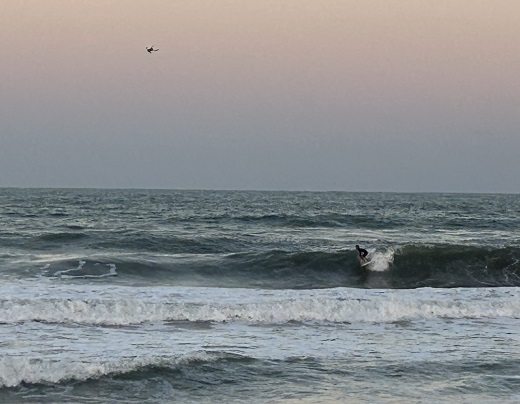 宮崎のサーフショップ&サーフィンスクール　ニューウェーブ