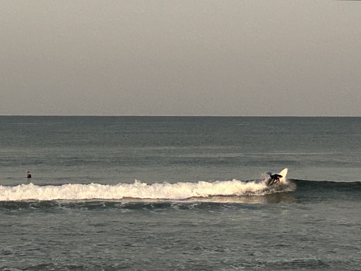 宮崎のサーフショップ&サーフィンスクール　ニューウェーブ