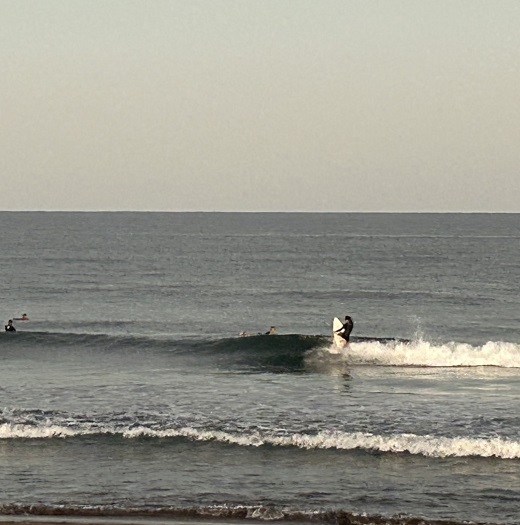 宮崎のサーフショップ&サーフィンスクール　ニューウェーブ