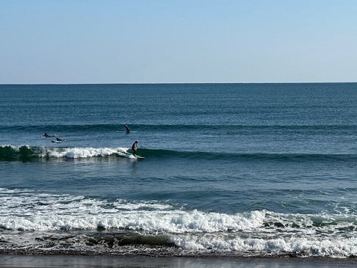 宮崎のサーフショップ&サーフィンスクール　ニューウェーブ