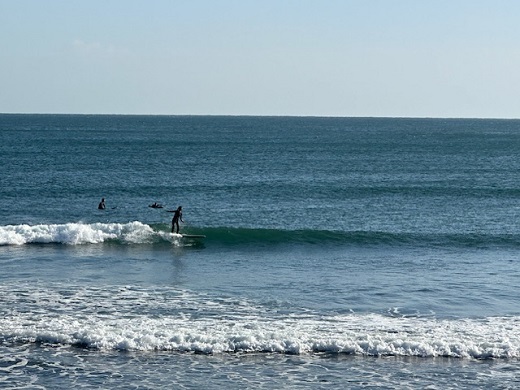 宮崎のサーフショップ&サーフィンスクール　ニューウェーブ