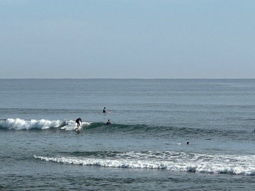 宮崎のサーフショップ&サーフィンスクール　ニューウェーブ