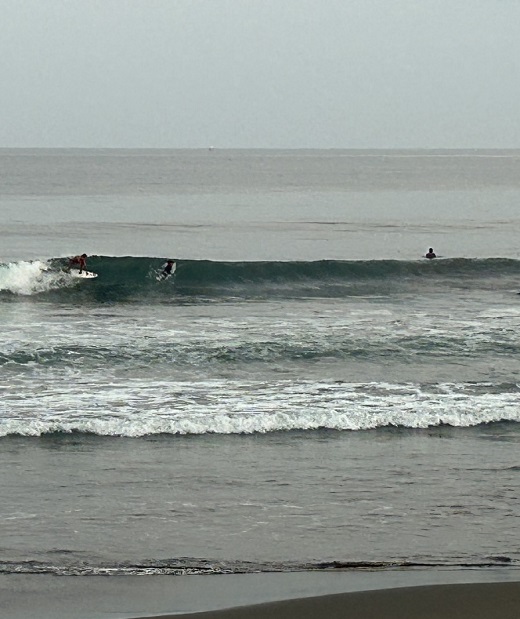 宮崎のサーフショップ&サーフィンスクール　ニューウェーブ