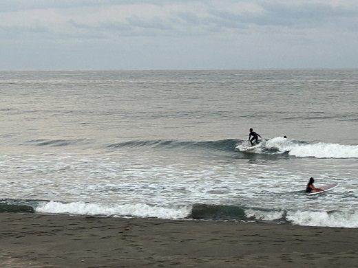 宮崎のサーフショップ&サーフィンスクール　ニューウェーブ