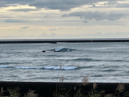 宮崎のサーフショップ&サーフィンスクール　ニューウェーブ