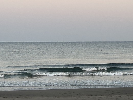 宮崎のサーフショップ&サーフィンスクール　ニューウェーブ