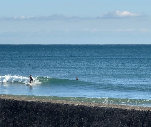 宮崎のサーフショップ&サーフィンスクール　ニューウェーブ