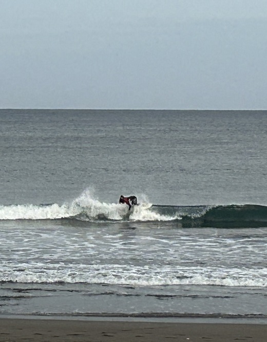 宮崎のサーフショップ&サーフィンスクール　ニューウェーブ