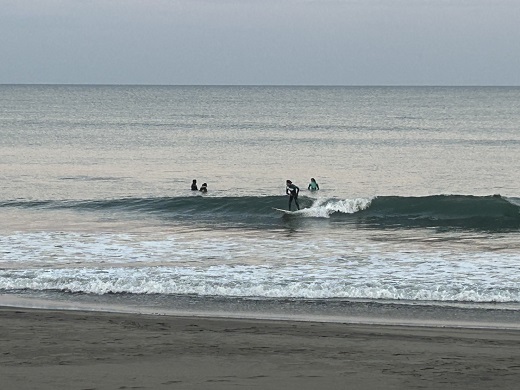 宮崎のサーフショップ&サーフィンスクール　ニューウェーブ
