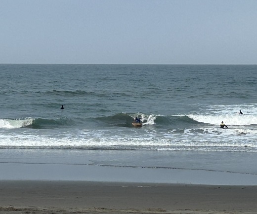 宮崎のサーフショップ&サーフィンスクール　ニューウェーブ